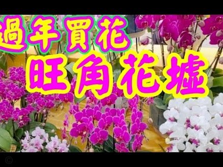 花呗如何快速提现