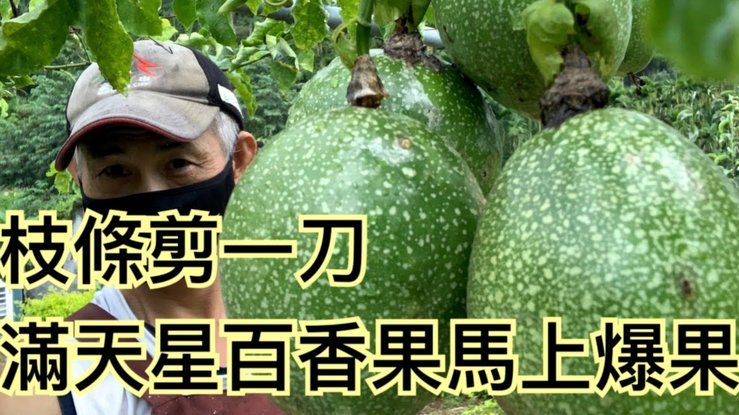 便荔卡包套现：安全可靠吗？