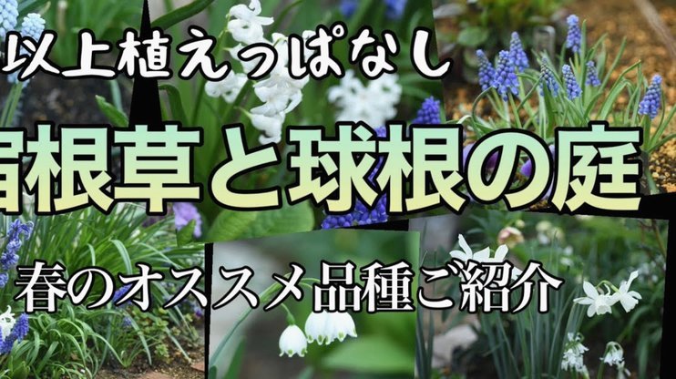 分期花呗正规吗？用户需知