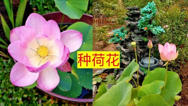拿去花如何实现提现安全高效