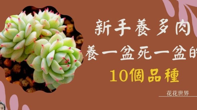拿去花怎么能提现