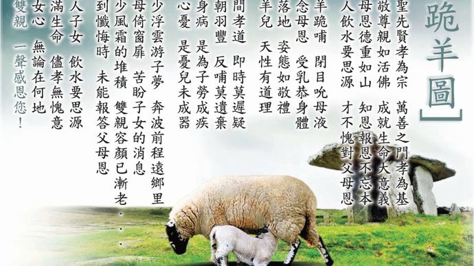 羊小咩额度收紧：是风险还是机遇？