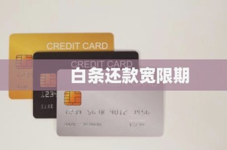 京东白条如何延期还款