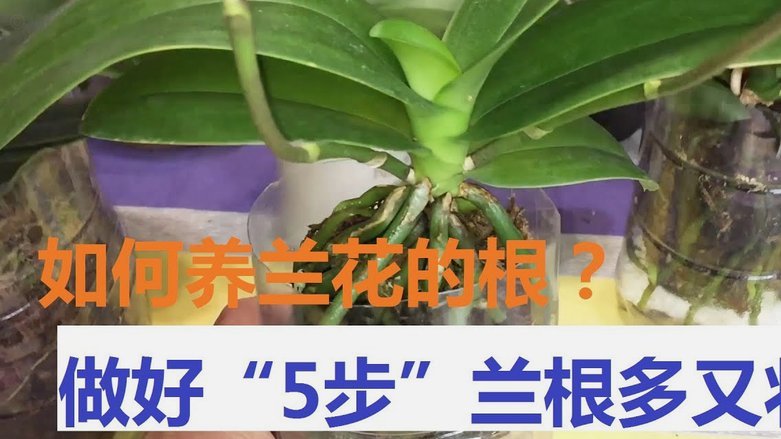 拿花额度提现全攻略