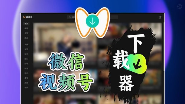 微信里面的分付可以套现吗