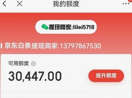 白条额度提取：背后的系统逻辑与操作指南