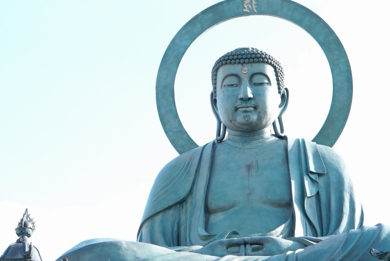 羊小咩备用金提现按钮去哪儿了
