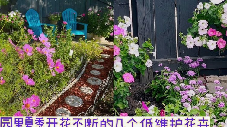 拿去花套现5000几个点