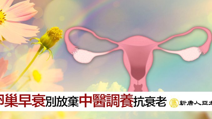 提升得物佳物分期额度的正确方法
