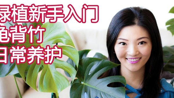 拿去花取现：金额修改与还款全流程指南