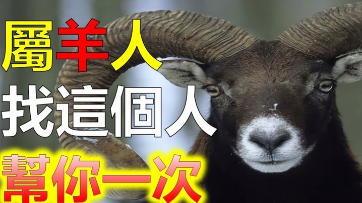 羊小咩怎么获得额度