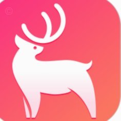 鹿优选背后的金融谜团真相揭露