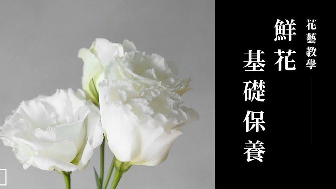 如何套出花呗的钱