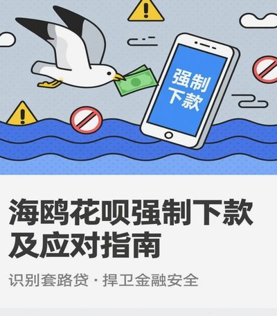 海鸥花呗平台 怎么样