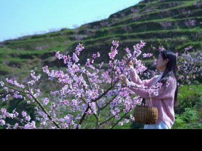 花呗秒套平台真相探析