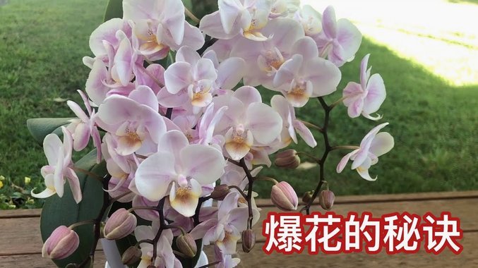 花呗秒套平台是真的吗还是假的