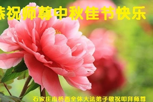 花呗套现5000元到底严重吗？这几点你知道吗！
