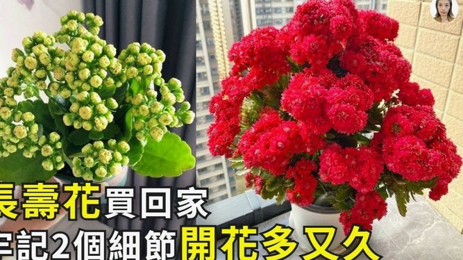 携程拿去花怎么提现金