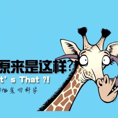 羊小咩：儿童潮流还是高估？深度测评来啦