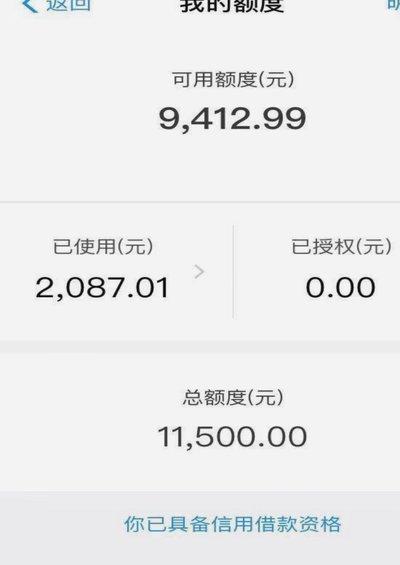 拿去花的额度怎么用