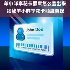 羊小咩享花卡额度合规使用指南