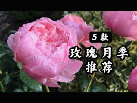 花呗月月付灵活还款指南