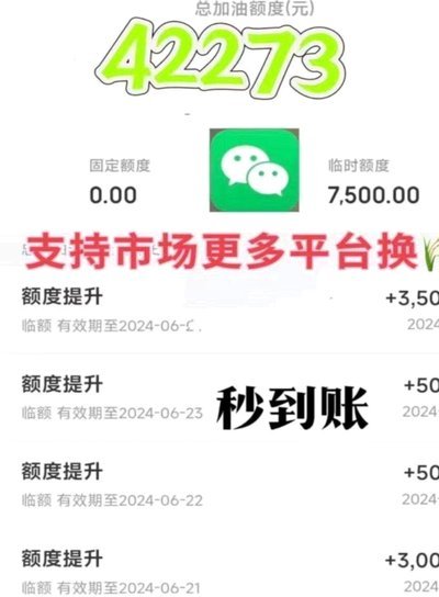 白条额度如何灵活利用