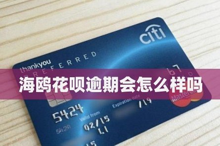 海鸥花呗提现：全攻略与注意事项