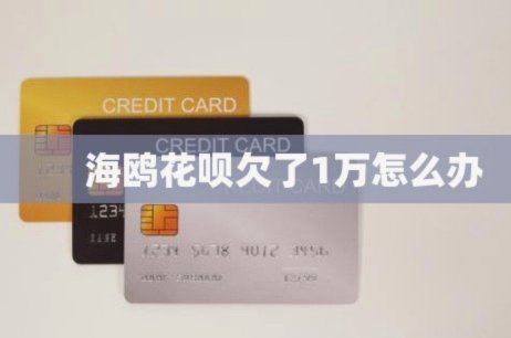 海鸥花呗平台 取现怎么样