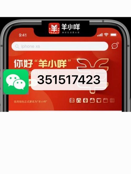 羊小咩哪里发货