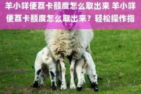 羊小咩额度变现攻略