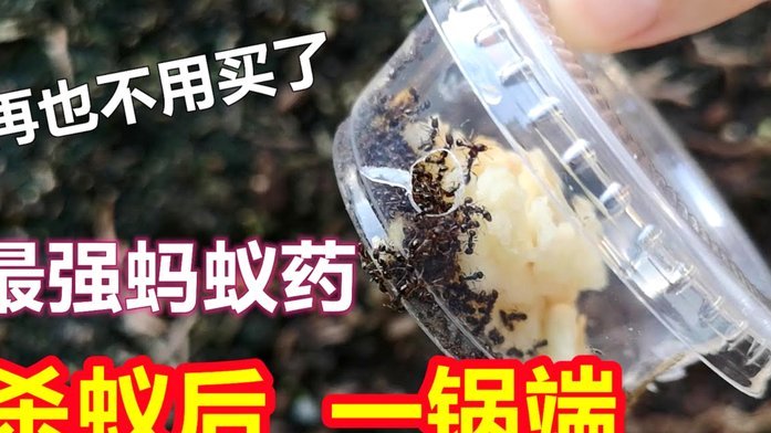蚂蚁花呗存在的问题