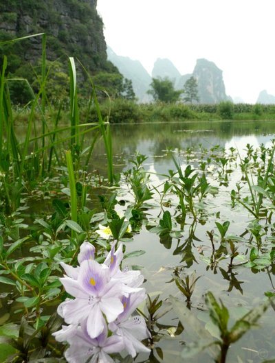 蓝鲸花呗是正规平台吗