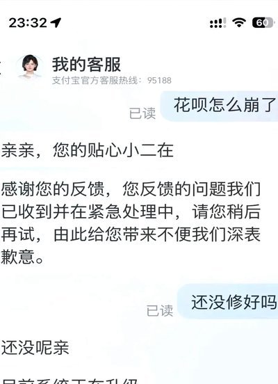 支付宝花呗系统问题