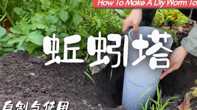 找第三方套现信用卡简易攻略与风险警示