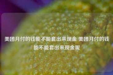 美团月付取现怎么弄 取现金的