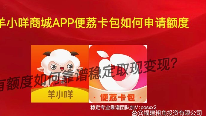 羊小咩额度取现流程详解：如何安全提取资金？