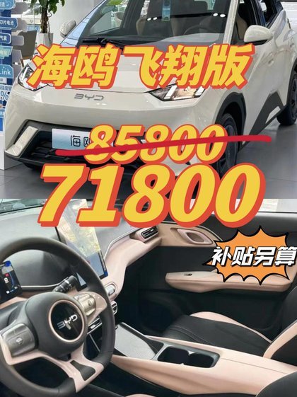 海鸥借款：便捷高效的在线贷款平台
