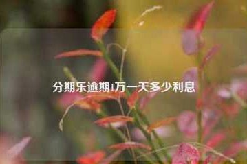 分期乐一万块多少利息