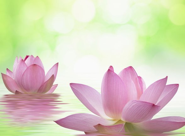如何能套出花呗的钱